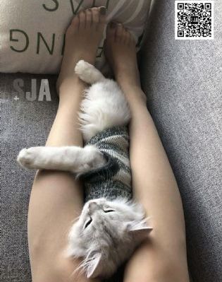 女生头像霸气高冷欧美_高清电视剧在线观看